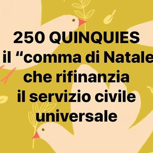 250 QUINQUIES È IL “COMMA DI NATALE” CHE RIFINANZIA CON 50 MILIONI IL SERVIZIO…