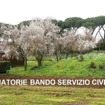 sul sito trovate le graduatorie dei progetti di servizio civile nazionale – bando MIPAAF