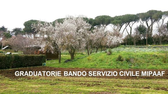 sul sito trovate le graduatorie dei progetti di servizio civile nazionale – bando MIPAAF